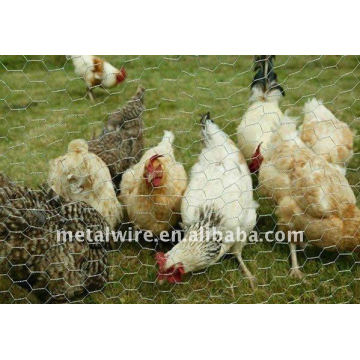 International Chicken Wire Netting